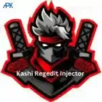 Kashi Regedit VIP Injector