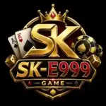 SK E999 Game
